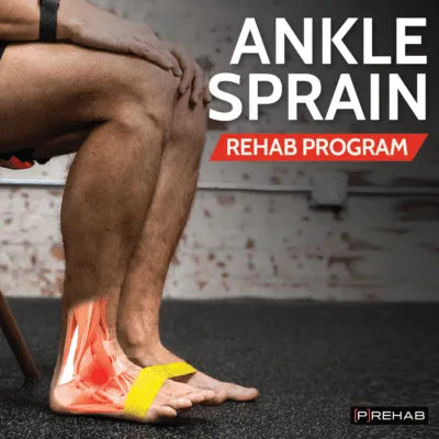 Recovery Bundle – 8-Week Rehab + Supplement System