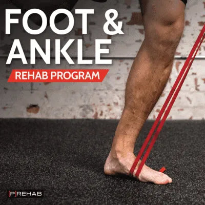 Recovery Bundle – 8-Week Rehab + Supplement System