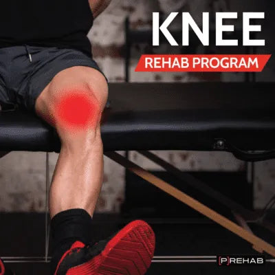 Recovery Bundle – 8-Week Rehab + Supplement System