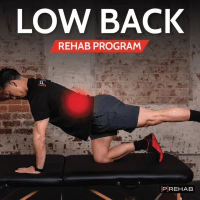 Recovery Bundle – 8-Week Rehab + Supplement System