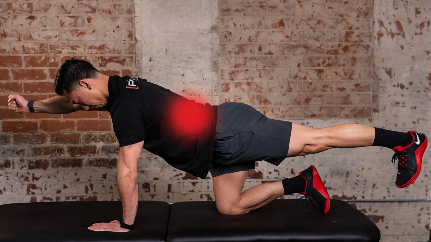The Prehab App - #1 rated physical therapy app
