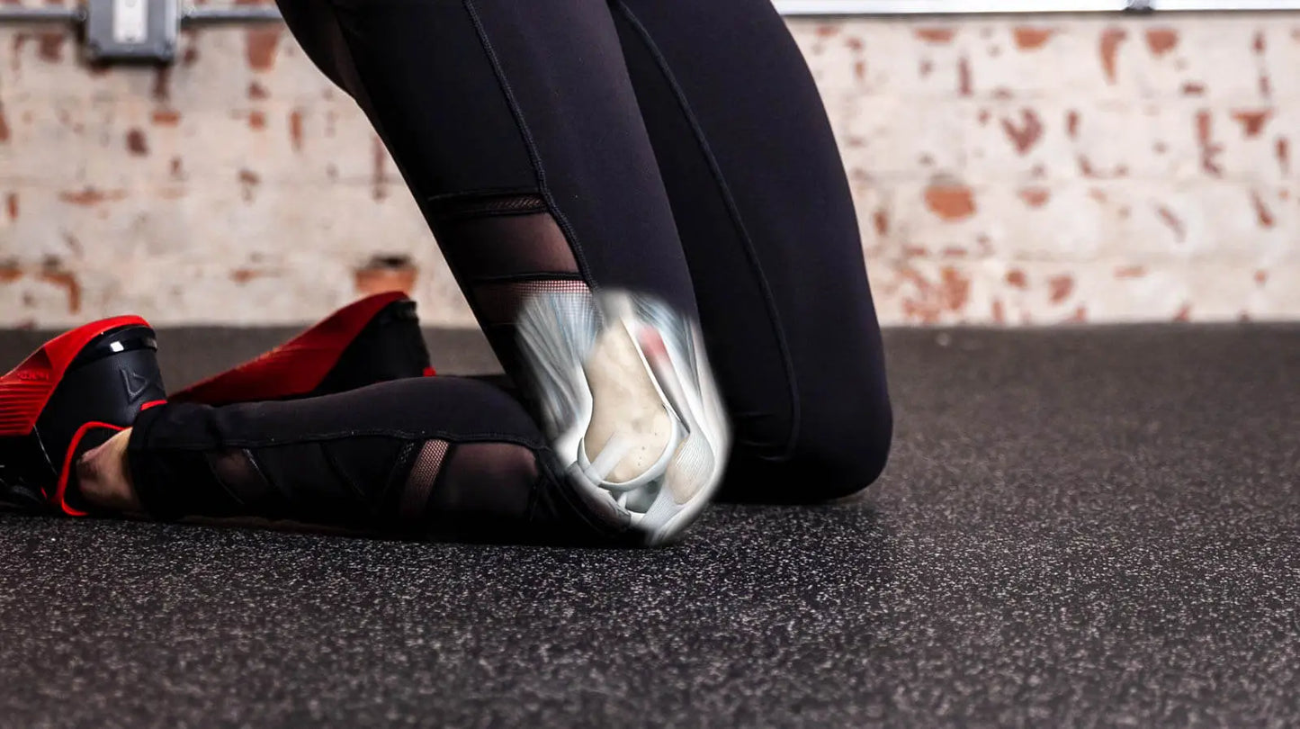 The Prehab App - #1 rated physical therapy app