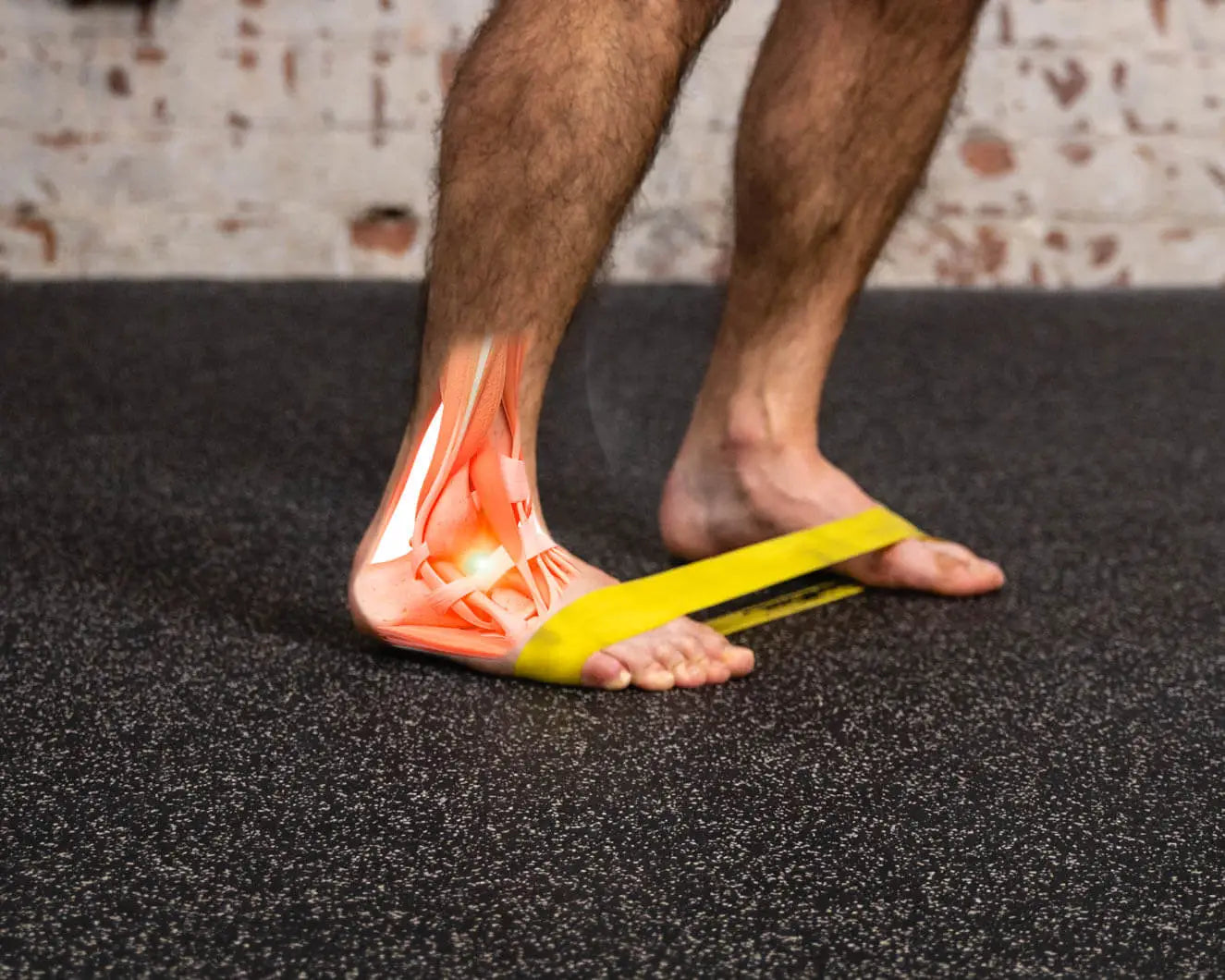 The Prehab App - #1 rated physical therapy app