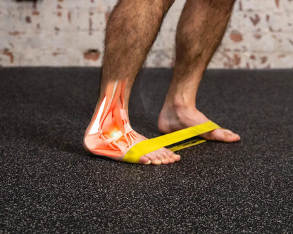 The Prehab App - #1 rated physical therapy app